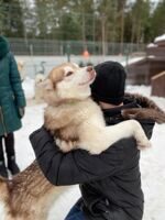 БЕЗГРАНИЧНАЯ ЛЮБОВЬ И ВЕРНОСТЬ